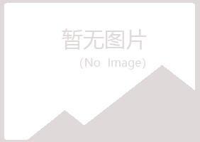 平湖白山会计有限公司